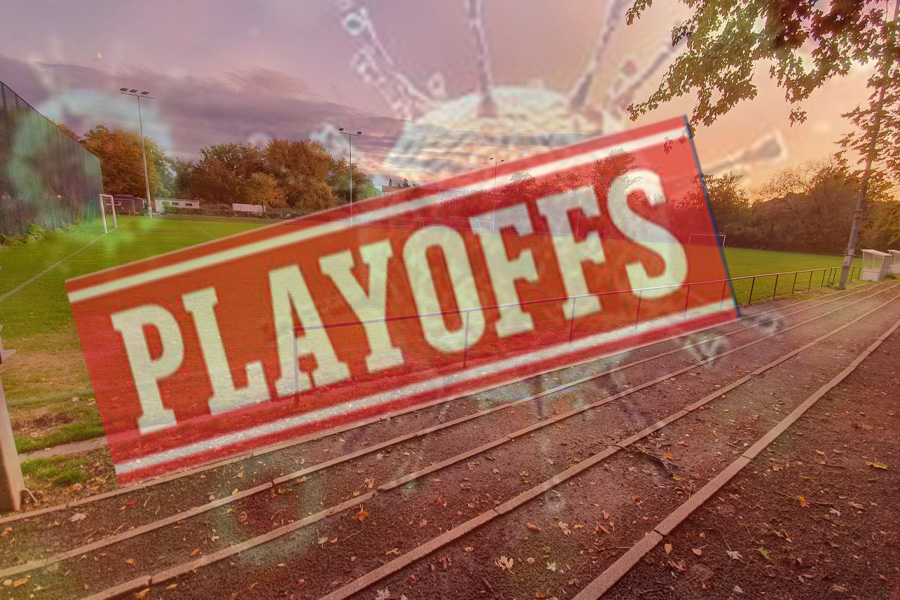 You are currently viewing „Play Offs wären eine faire Lösung“